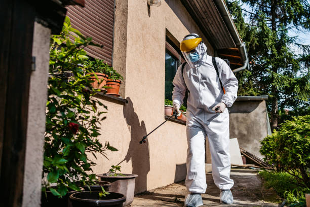 Best Bed Bug Extermination  in Brewster, WA