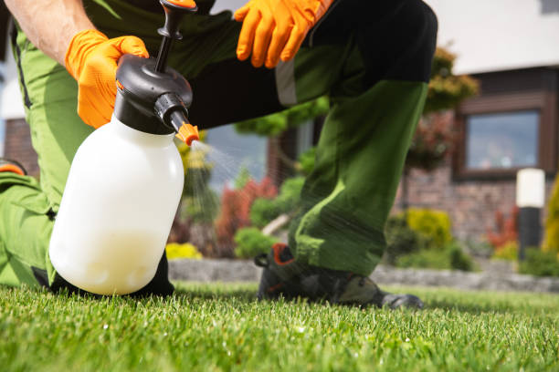 Reliable Brewster, WA Pest Control Solutions